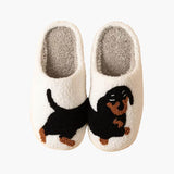 Pantufas Dachshund