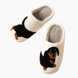 Pantufas Dachshund